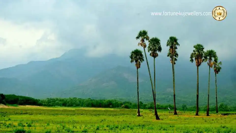 Palakkad Gap landscape, Palakkad